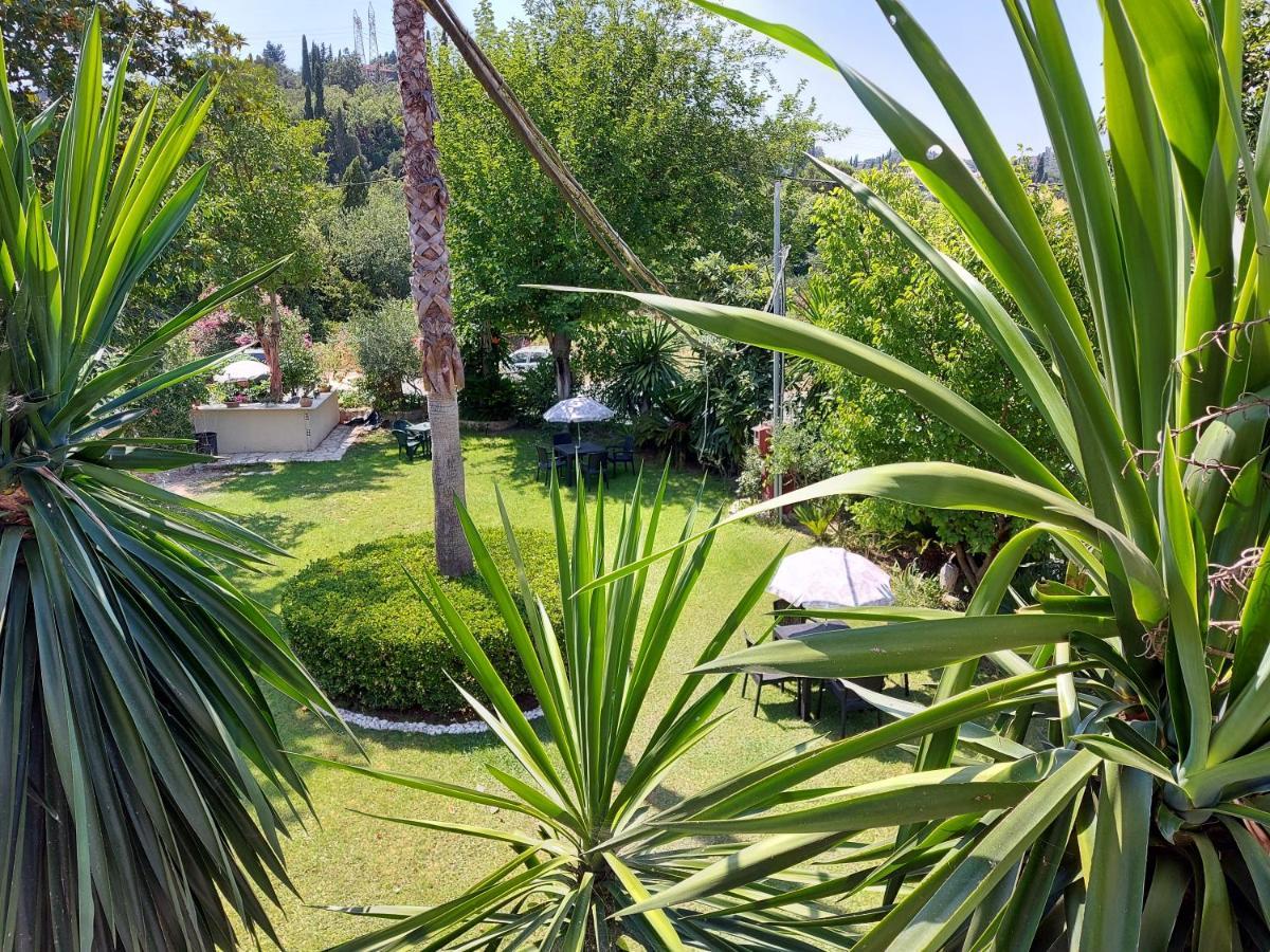 Niki Thalia Corfu Viros Apartment 1 Kastania  Екстер'єр фото